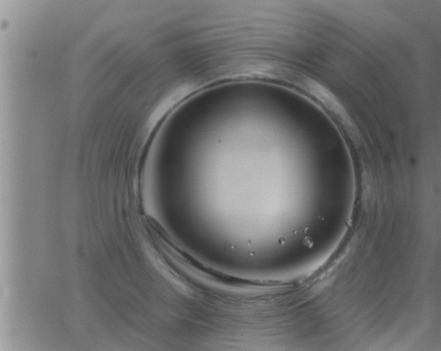 X0000063521234200601271828