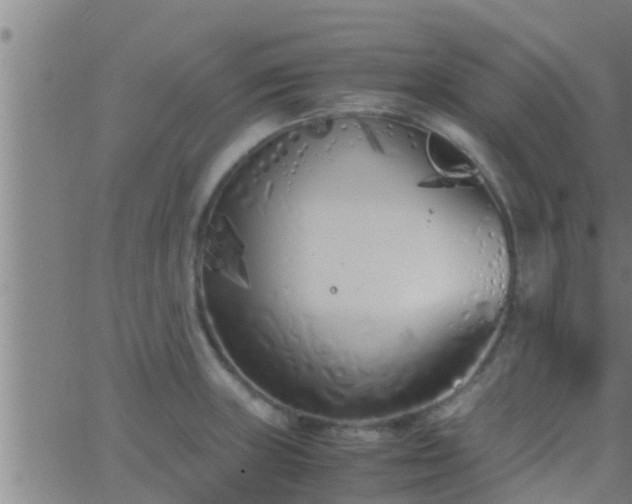 X0000063521235200601271828