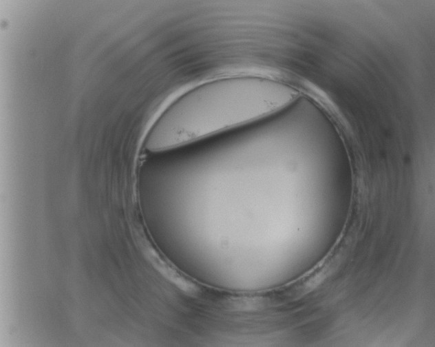 X0000063521236200601271828