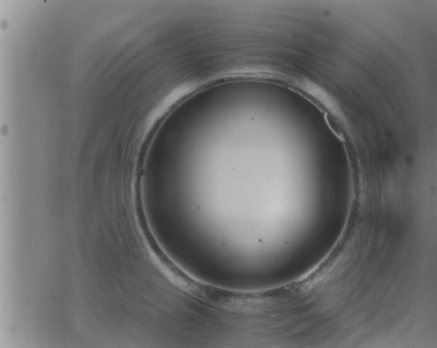 X0000063521237200601271828