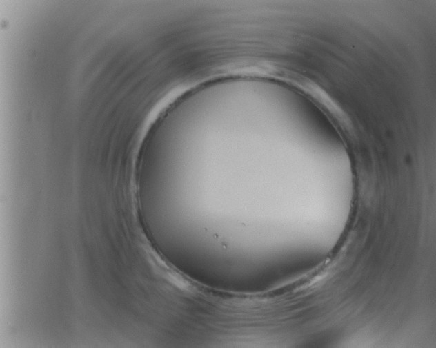 X0000063521240200601271828