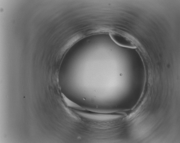 X0000063521241200601271828