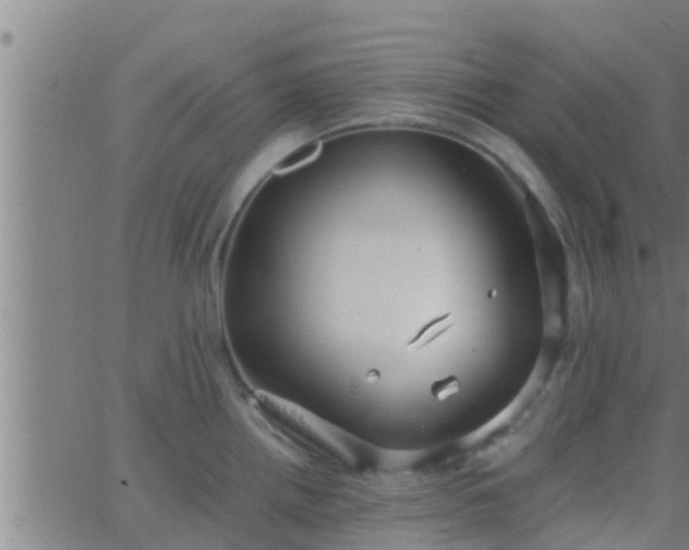 X0000063521242200601271828