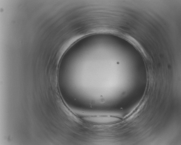 X0000063521244200601271828