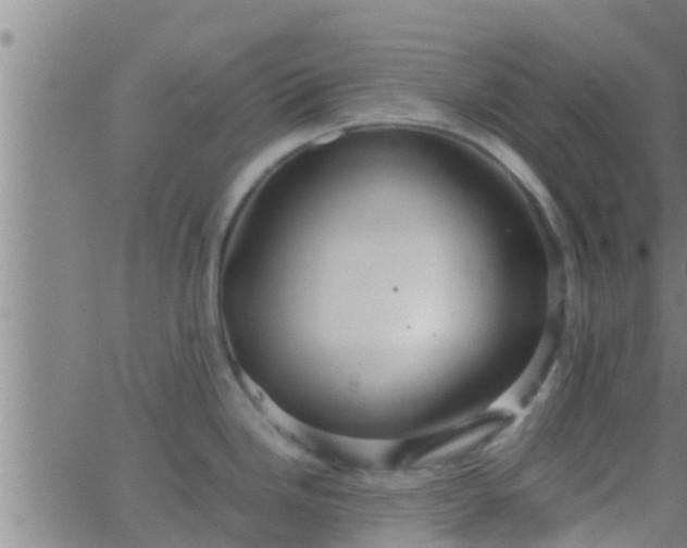 X0000063521246200601271828