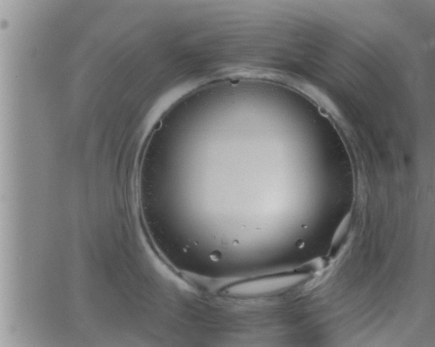 X0000063521247200601271828