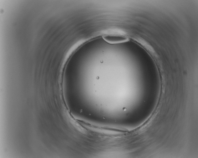 X0000063521248200601271828