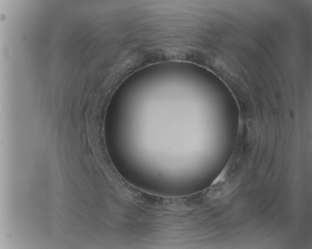 X0000063521249200601271827