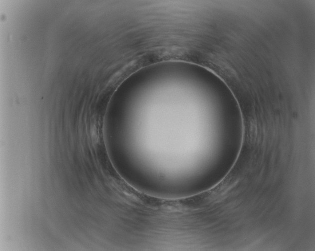 X0000063521250200601271827