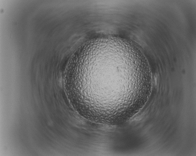 X0000063521251200601271827