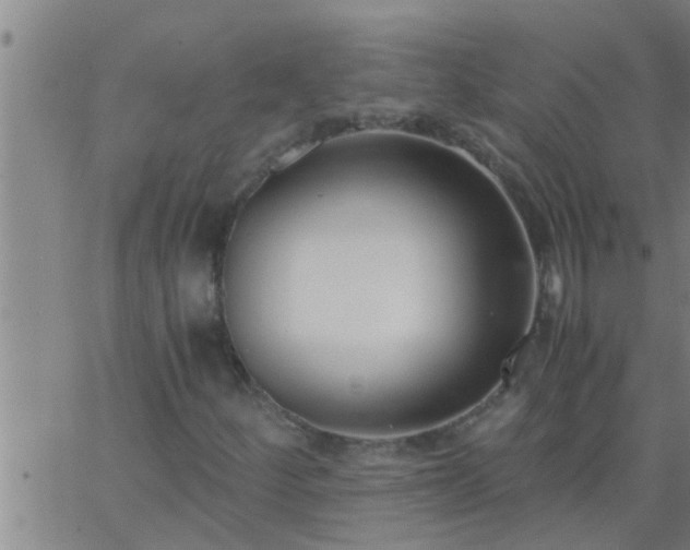 X0000063521252200601271827