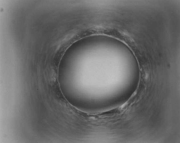 X0000063521253200601271827