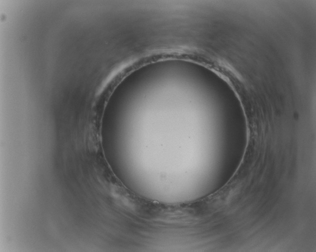 X0000063521256200601271827