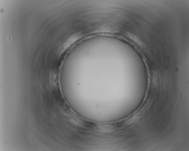 X0000063521258200601271827