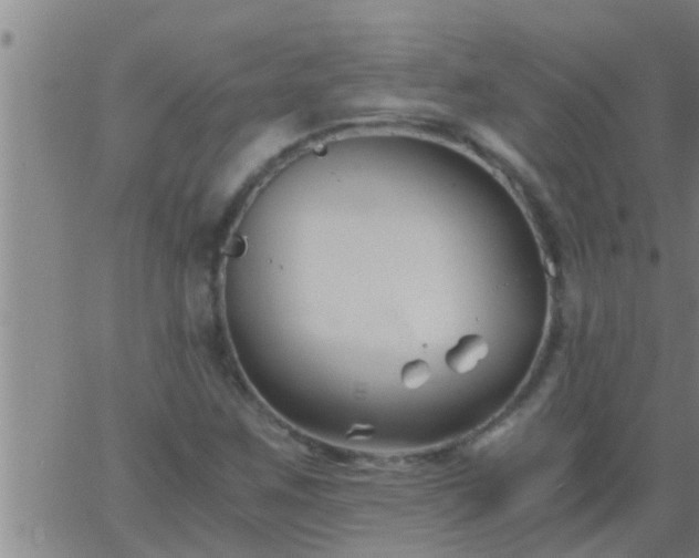 X0000063521259200601271827