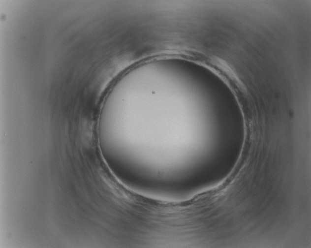 X0000063521260200601271827