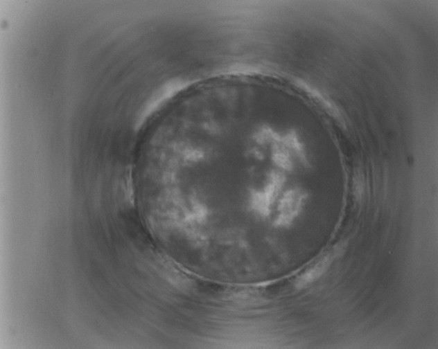 X0000063521262200601271827