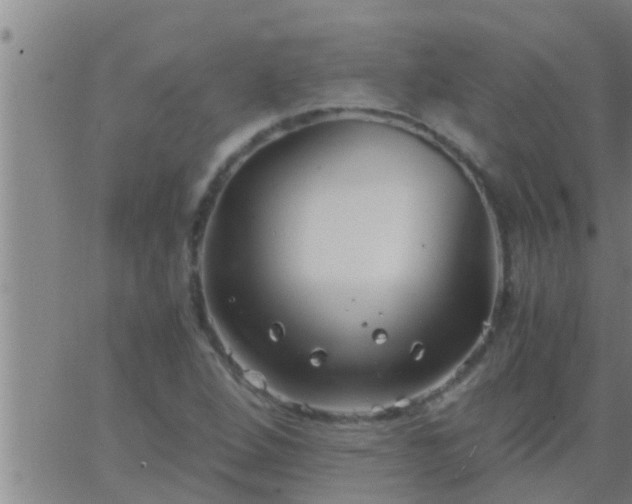 X0000063521264200601271827