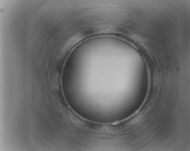 X0000063521265200601271827