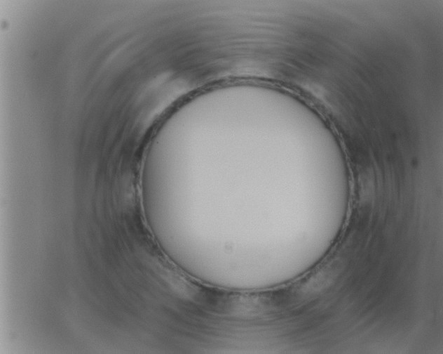 X0000063521266200601271827