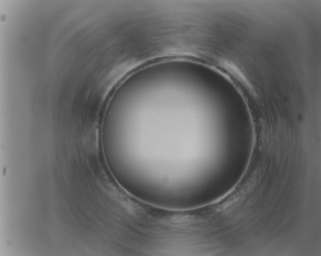 X0000063521268200601271827