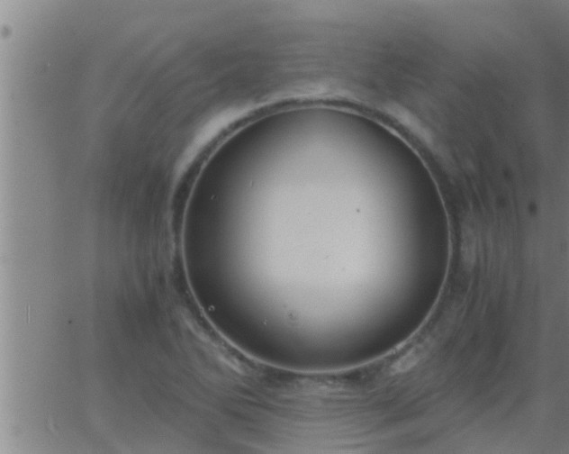 X0000063521270200601271827