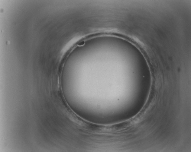 X0000063521271200601271827