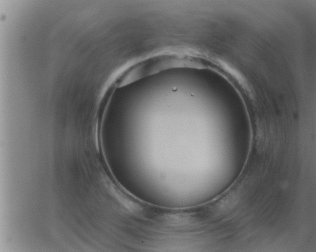 X0000063521272200601271827