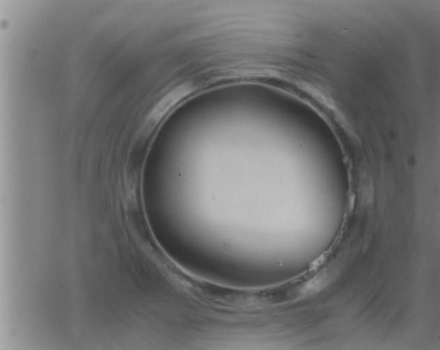 X0000063521273200601271827