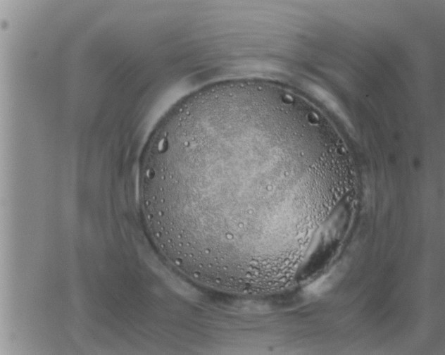 X0000063521275200601271827