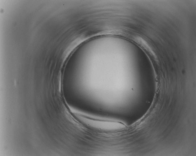 X0000063521276200601271827