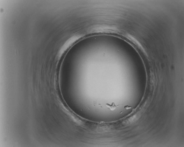 X0000063521277200601271826