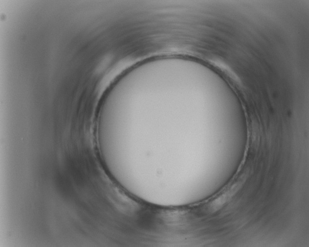 X0000063521278200601271826