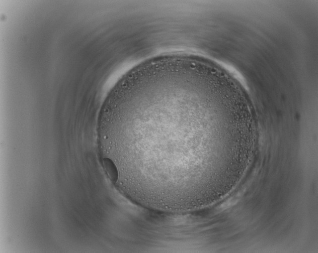 X0000063521279200601271826