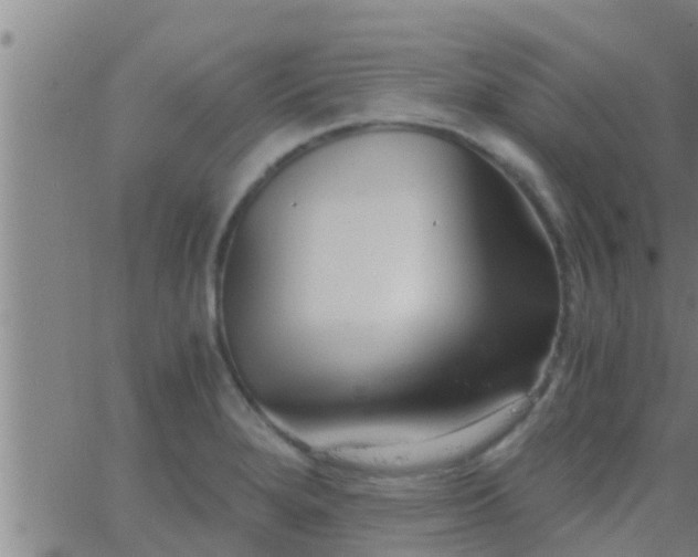 X0000063521280200601271826