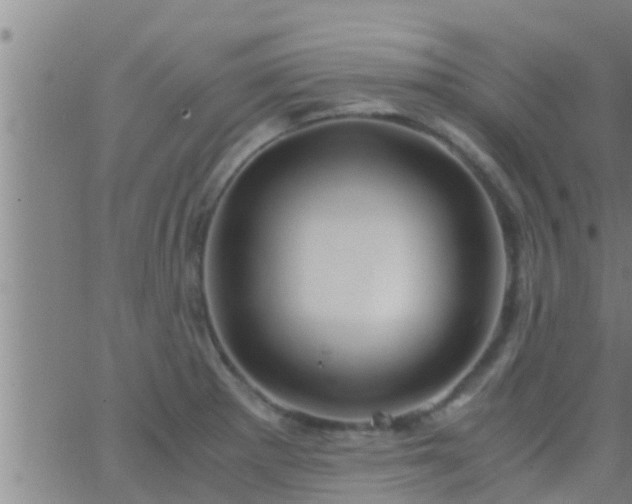 X0000063521281200601271826