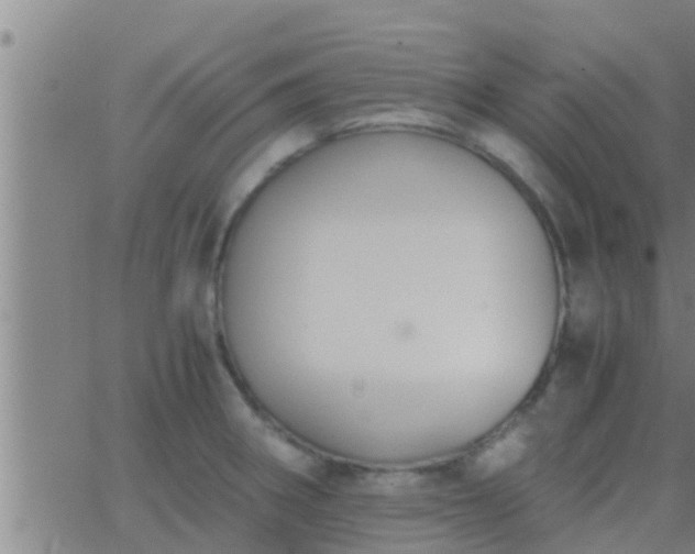 X0000063521282200601271826