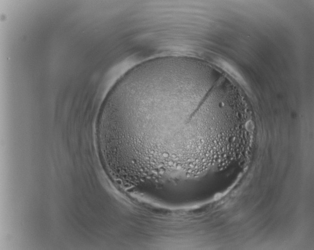 X0000063521283200601271826