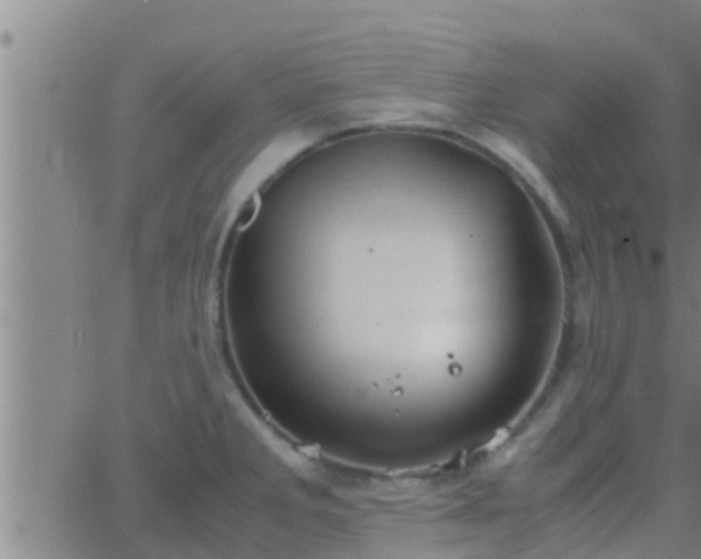 X0000063521285200601271826