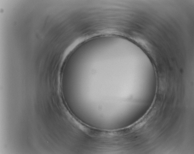 X0000063521286200601271826