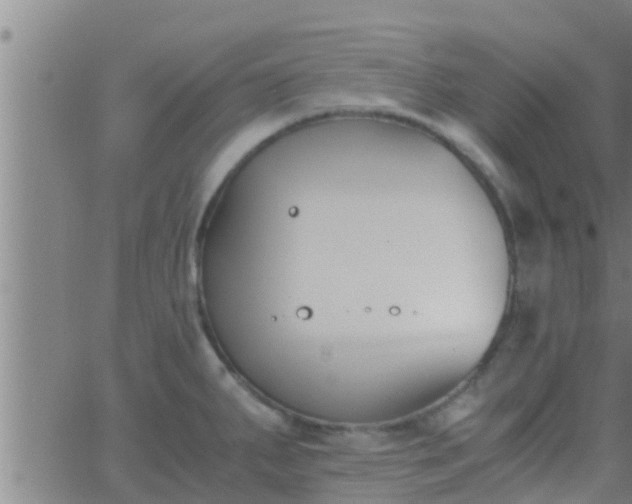 X0000063521287200601271826