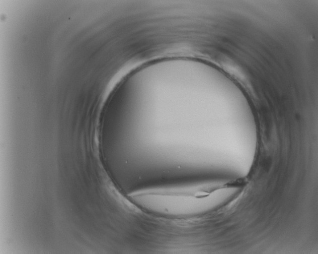 X0000063521288200601271826