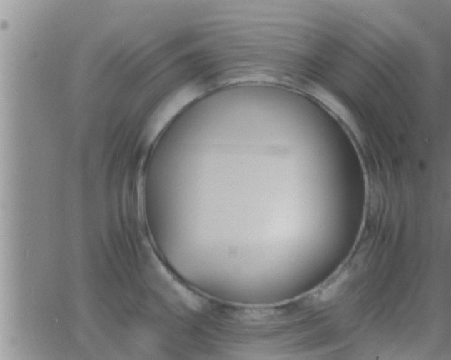 X0000063521290200601271826