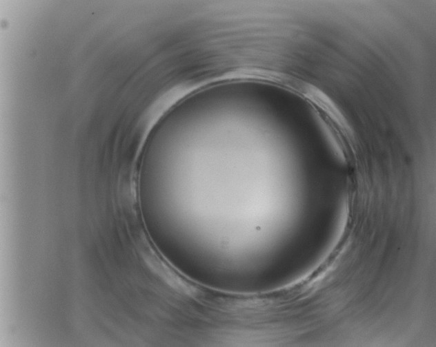 X0000063521292200601271826