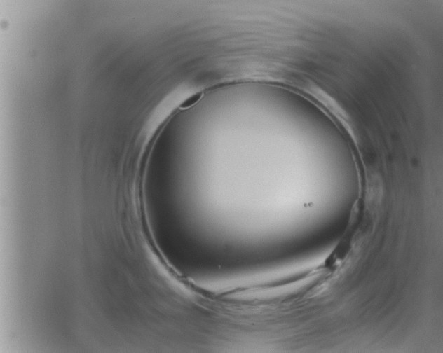 X0000063521293200601271826