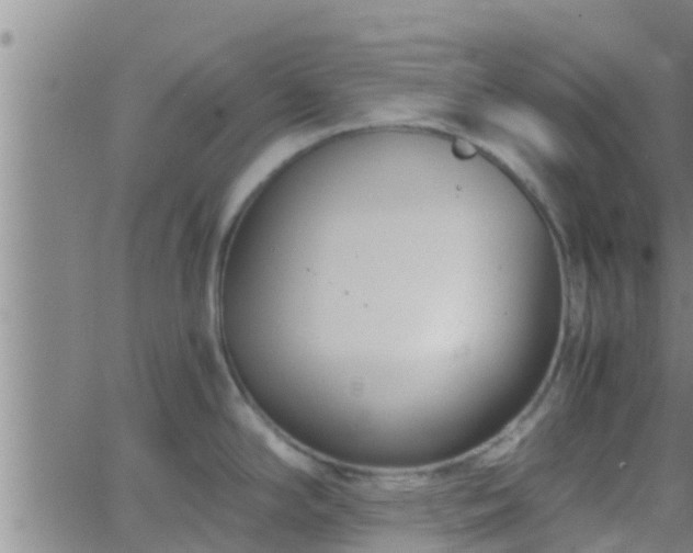 X0000063521294200601271826