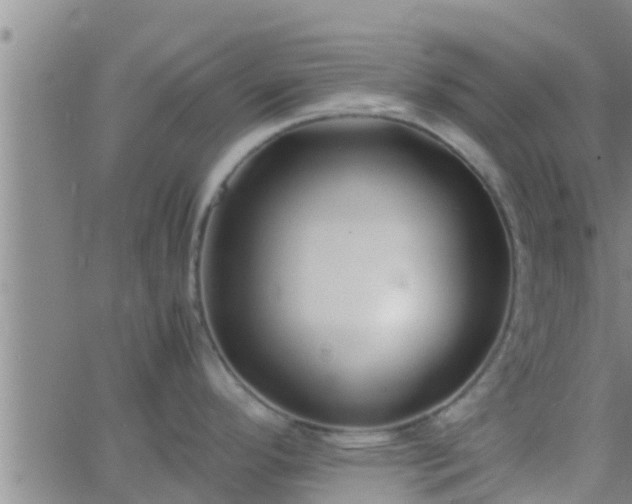 X0000063521296200601271826