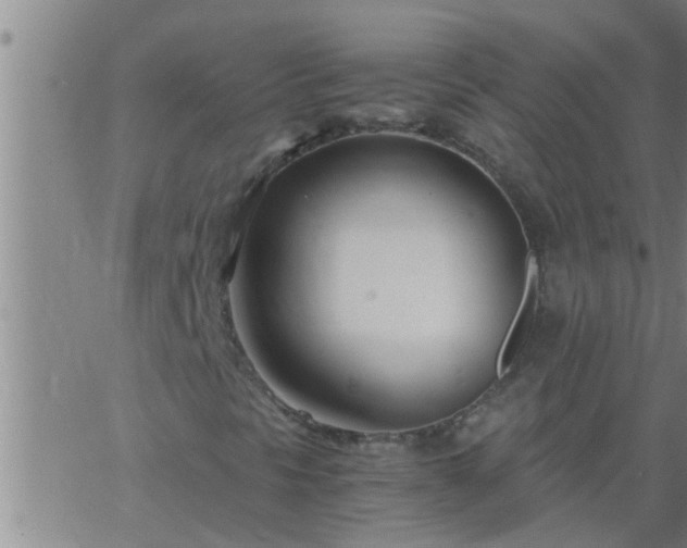 X0000063521297200601271825