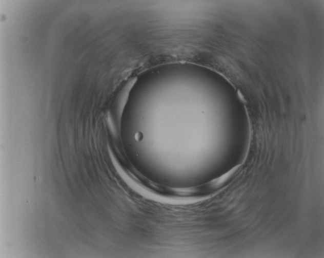 X0000063521298200601271825