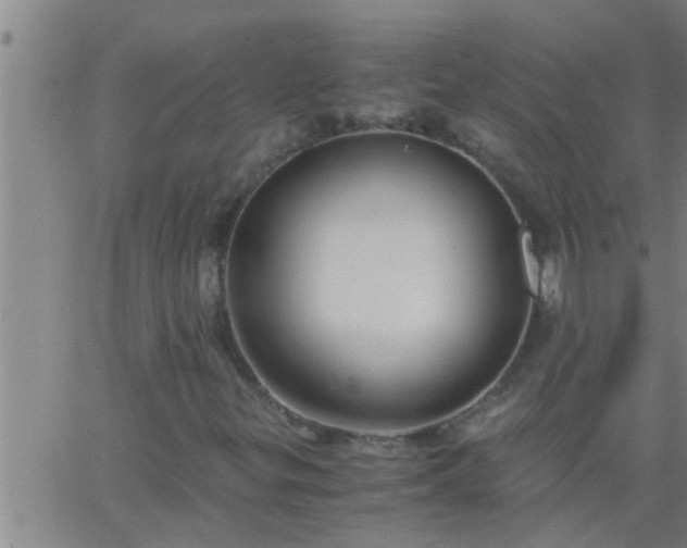 X0000063521299200601271825